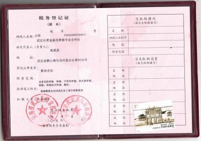 税务登记证